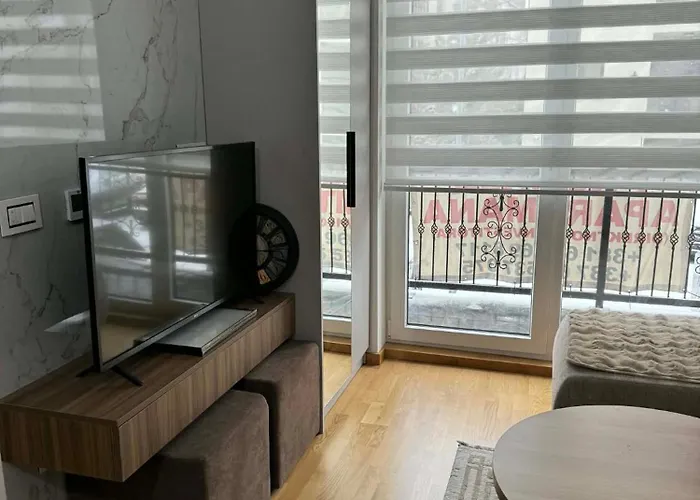 Antique 10 דירה זלאטיבור